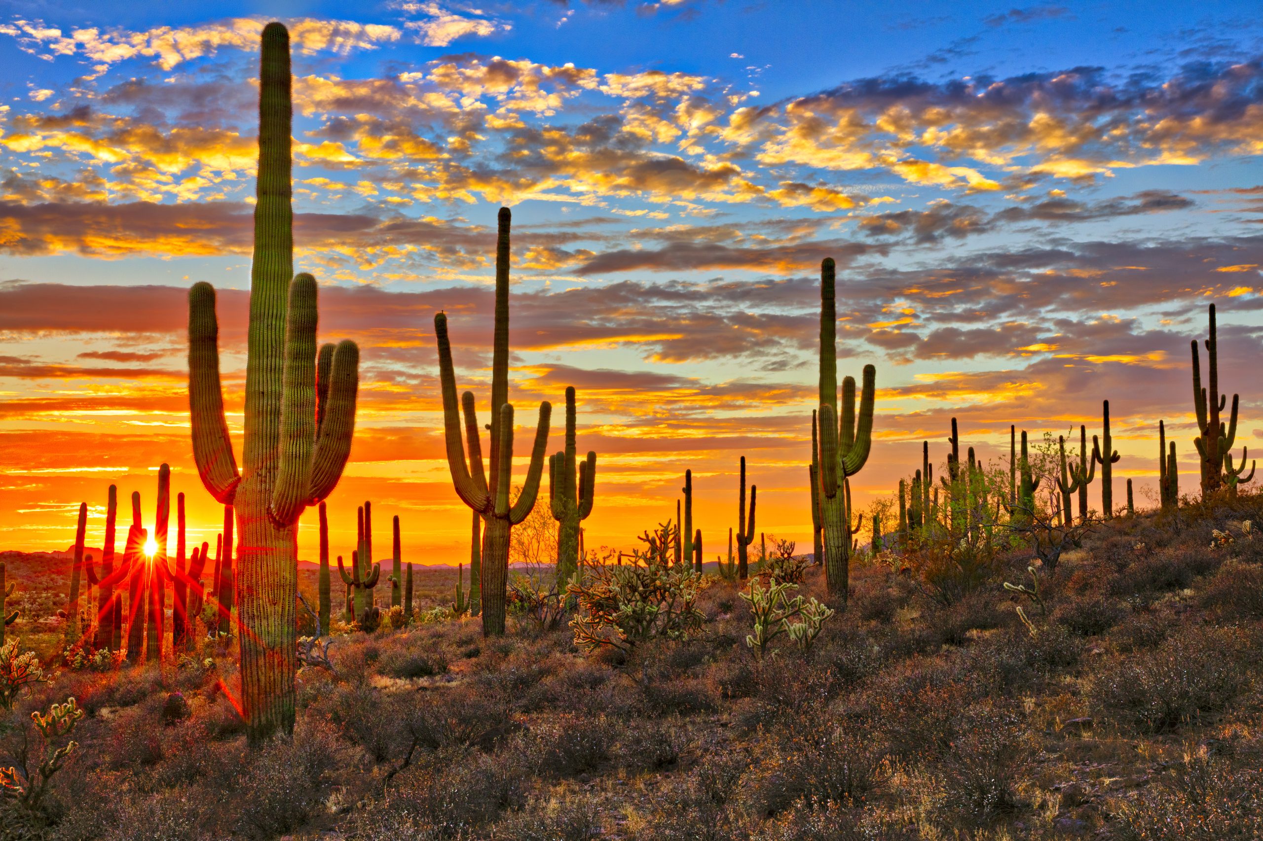 Arizona s Budget Passed in 2023 Michele Pena for Arizona